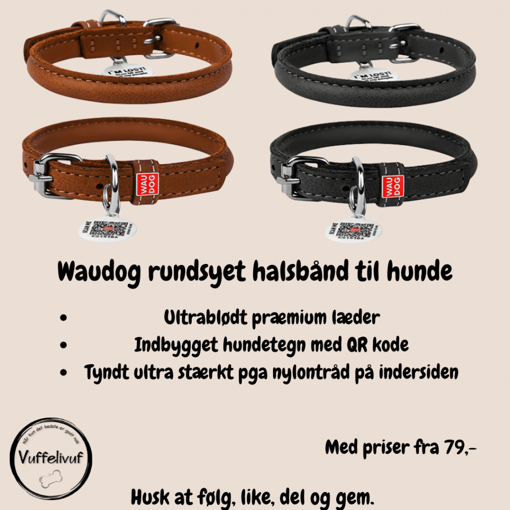 Waudog rundsyet halsbånd til hunde